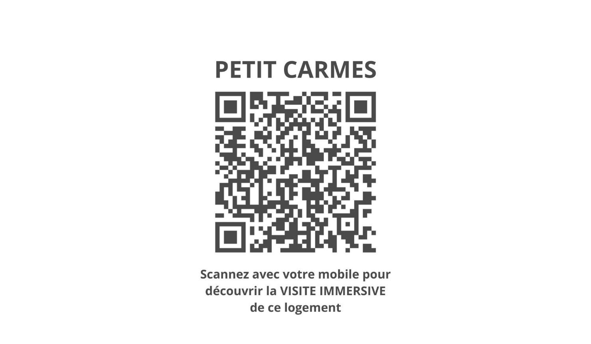 Le Petit Carmes - Joli Studio De Caractere トゥールーズ エクステリア 写真
